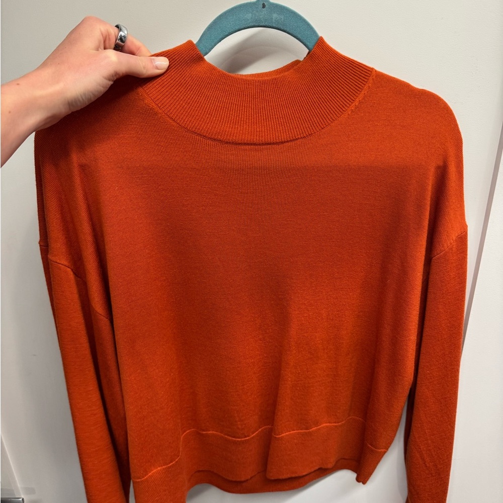 Aritzia Rust Orange Knit Sweater